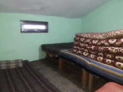 Other Image